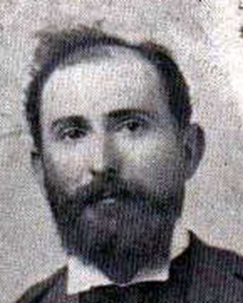 Pardo Vito